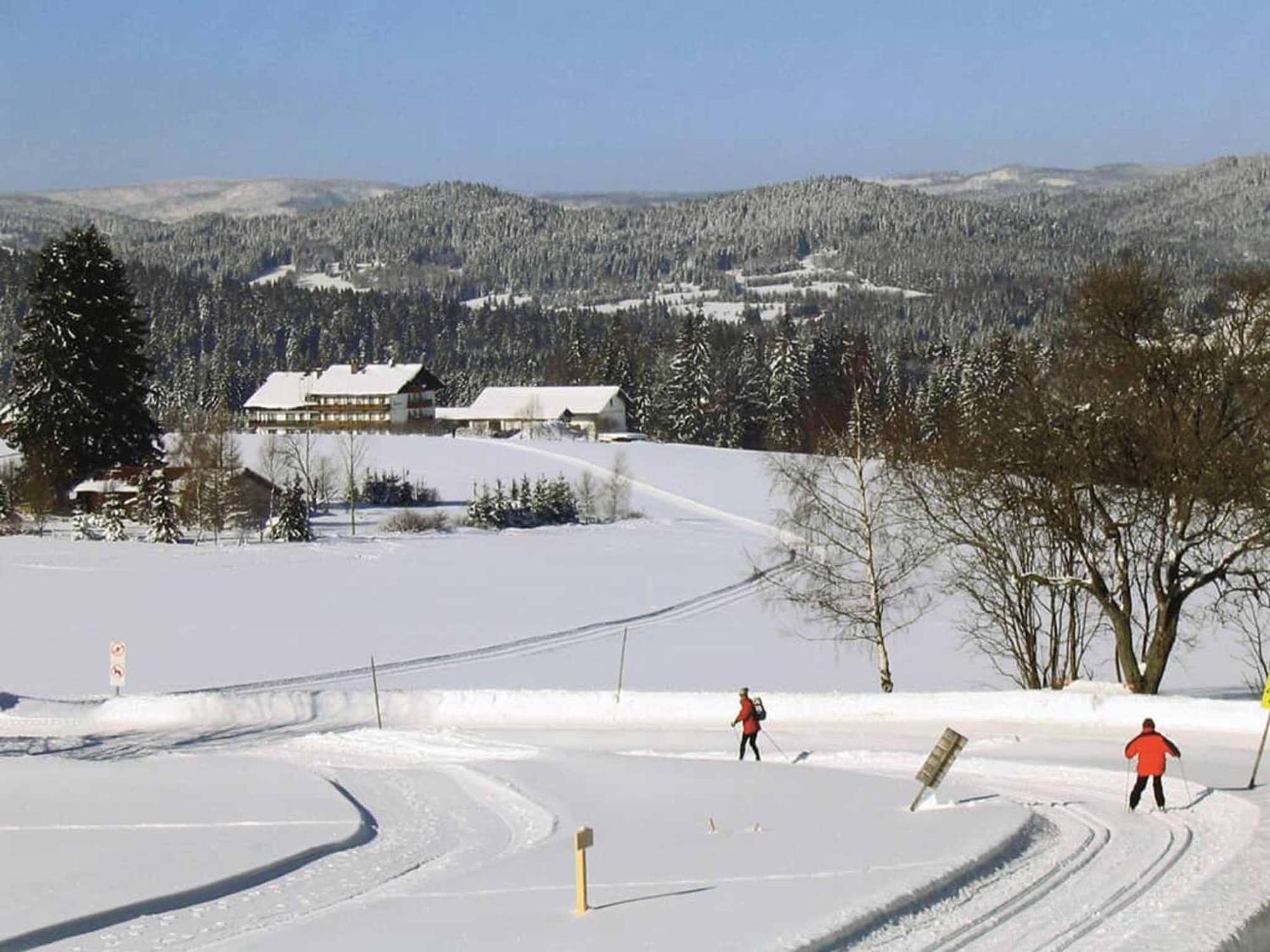 Hotel Maerchenwald Haidmühle Εξωτερικό φωτογραφία